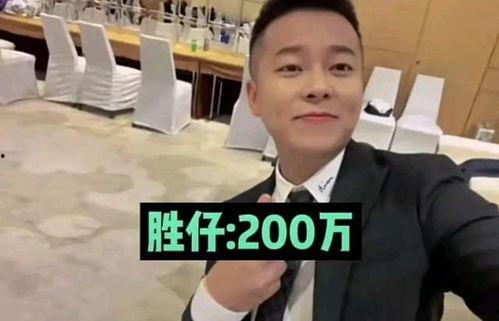 河北明星网红捐助事件始末,爱心传递与舆论风波的反思