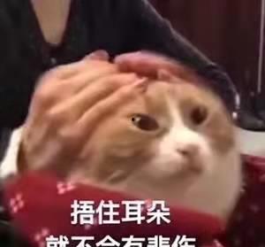 为什么明星网红总要偷税,揭秘明星网红偷税背后的真相与动机