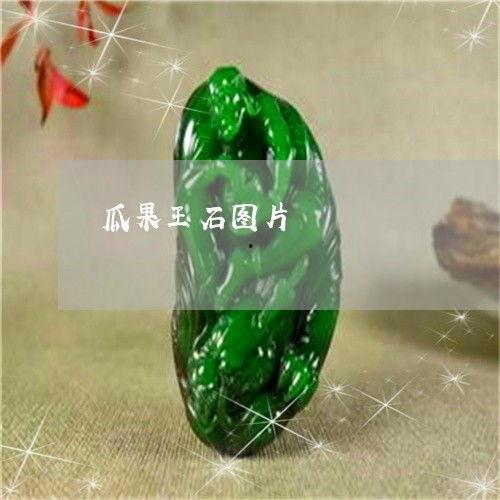 今日瓜料最新消息,今日热点事件深度解析