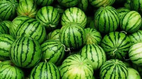 今日瓜料最新消息,今日热点事件深度解析