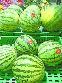 武汉今日吃瓜,吃瓜群众聚焦最新民生话题