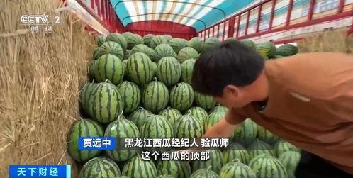 吃瓜今日瓜热门瓜