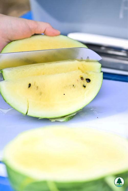 吃瓜今日瓜热门瓜