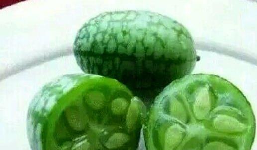 景东今日小瓜价格行情,涨跌波动，市场动态一览”