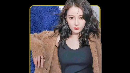 2024年明星网红来泉州,星光熠熠，泉城焕新颜