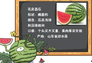 今日吃瓜历史记录最新版,揭秘娱乐圈最新热点事件