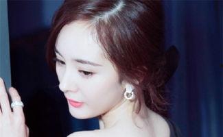 明星网红师徒有哪些名字,揭秘明星网红师徒们的传奇故事