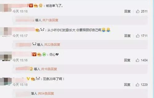 今日又是忙着吃瓜的一天,今日吃瓜盛况一览