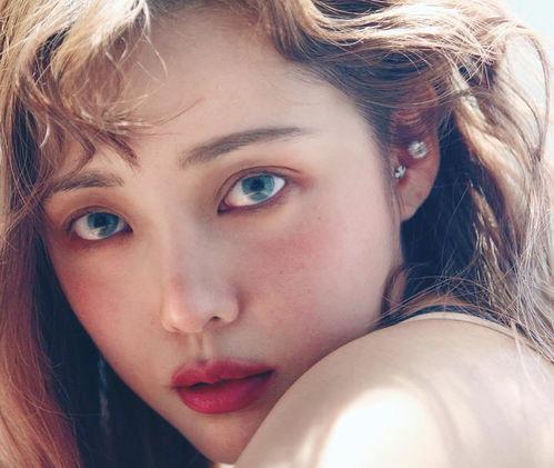 明星网红同款作品推荐,明星效应下的时尚风向标