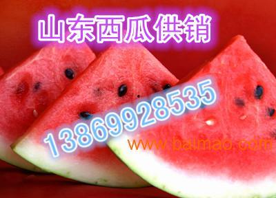 2023礼品瓜今日行情,新鲜热销，价格波动解析