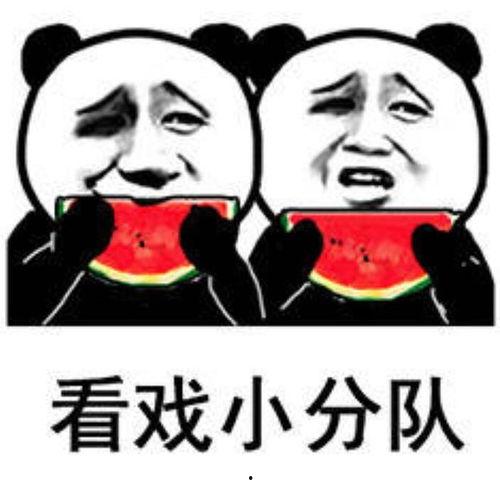 今日份摘瓜快乐图片表情包,表情包带你笑翻天