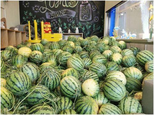 51吃瓜今日吃瓜爱可可,今日热点事件，爱可可带你一探究竟