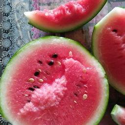 韩寺今日吊瓜价格行情,丰硕上市，价格走低