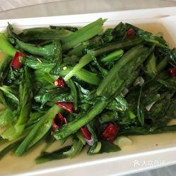 瓜州县今日菜价多少钱,实惠与品质并存