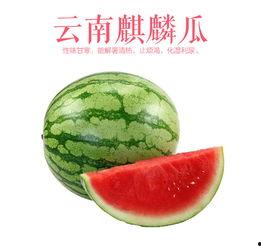 云南麒麟瓜产地今日行情