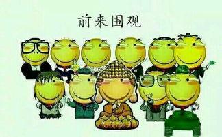 今日新鲜事吃瓜群众,吃瓜群众热议焦点大盘点