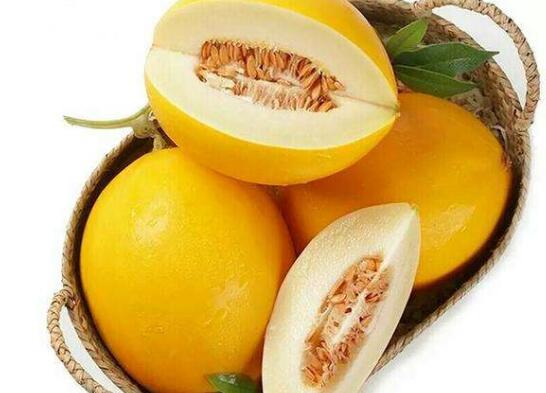 万邦黄河蜜瓜今日行情,甜蜜价格波动，市场供需动态解析