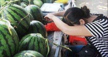 今日农村卖瓜视频下载,揭秘今日农村卖瓜视频背后的下载热潮