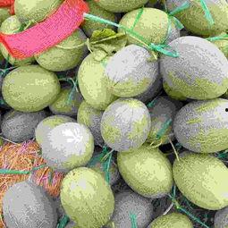 北海哈密瓜今日价格行情最新,价格行情一览无余