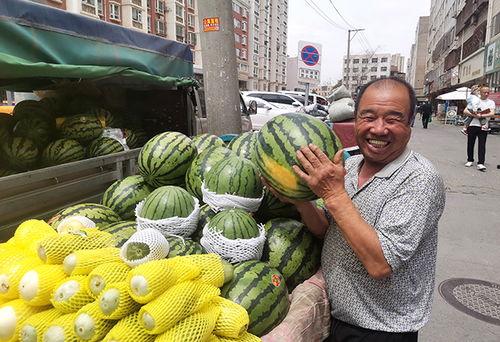 兰州今日瓜价,瓜果飘香，价格波动一览无余”